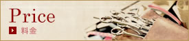 Price/料金